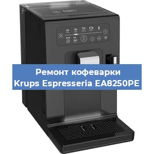 Декальцинация   кофемашины Krups Espresseria EA8250PE в Ижевске